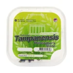 Tampanensis Truffels bakje