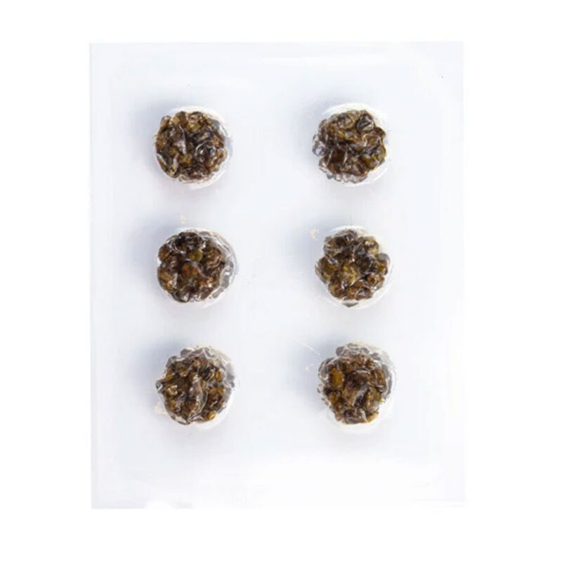 Microdosing Truffels 6 x 1 gram blister