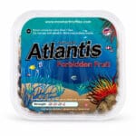 Atlantis Magic Truffels verpakking op witte achtergrond